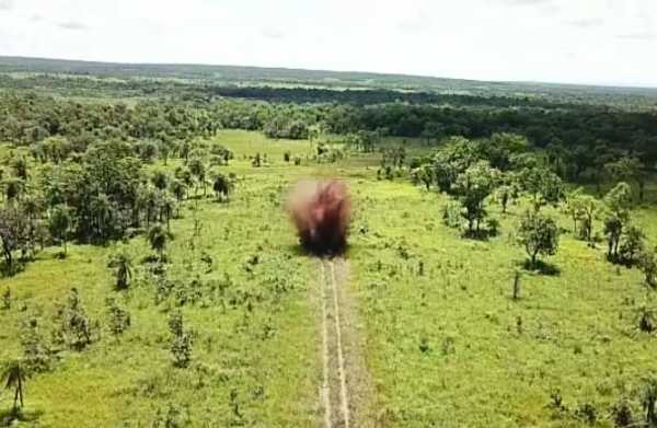 Destruyen pistas clandestinas en parque nacional | Radio Regional 660 AM