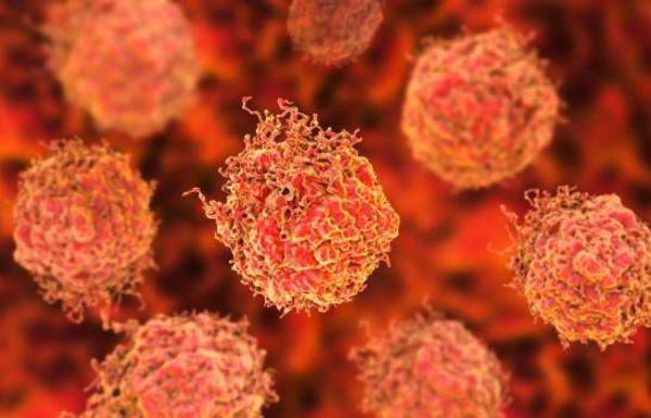 Células T editadas genéticamente sobreviven, son seguras y matan al cáncer - Ciencia - ABC Color