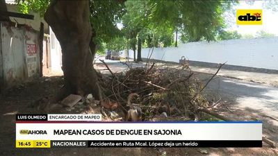 Mapean casos de dengue en Sajonia - ABC Noticias - ABC Color