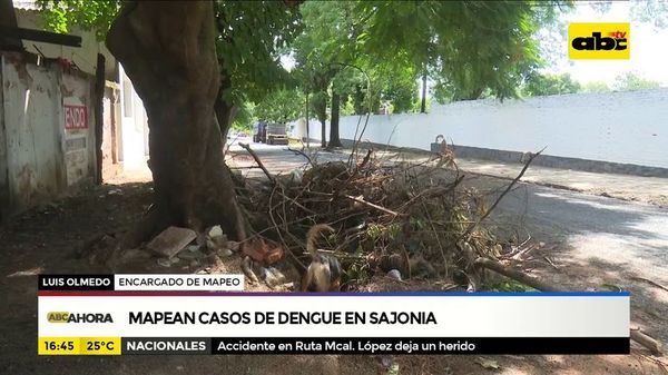 Mapean casos de dengue en Sajonia - ABC Noticias - ABC Color