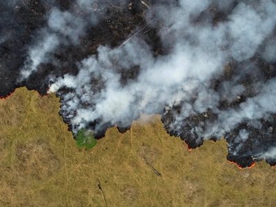 La deforestación de la Amazonía en enero fue la mayor para el mes en 5 años