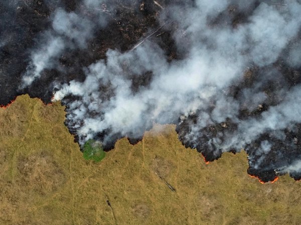 La deforestación de la Amazonía en enero fue la mayor para el mes en 5 años