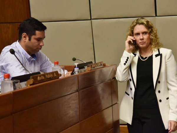 Diputada convoca a manifestación para evitar dinero sucio en política