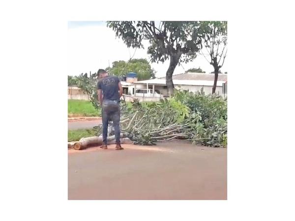 Intervendrán deforestación del intendente de Ypejhú