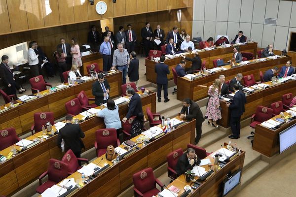 Senado buscará recuperar propuesta original modificada por Diputados