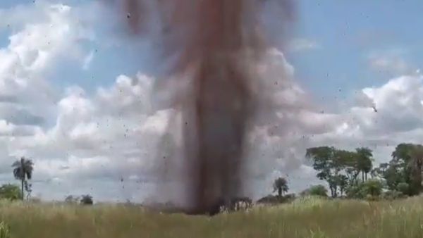 Antinarcóticos destruyó 24 mil kilos de marihuana