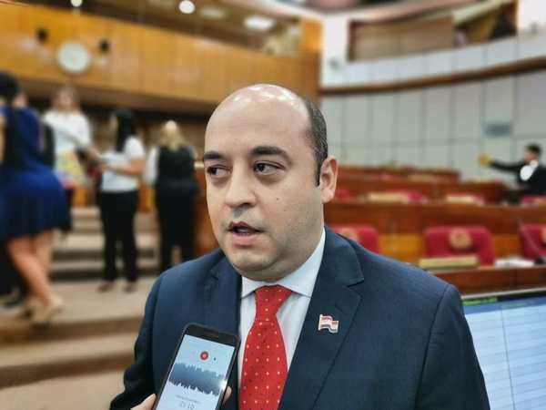Senado: Honor Colorado a favor del proyecto de financiamiento político - ADN Paraguayo