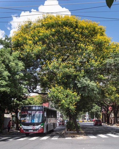 Sábado caluroso e inestable