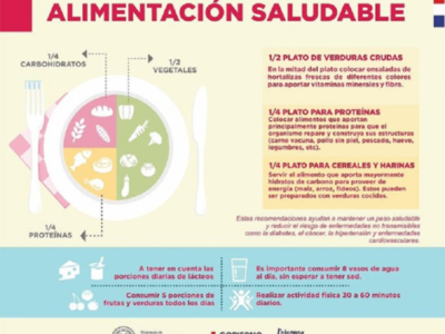 Recomiendan que la comida 'chatarra' no sea la primera opción