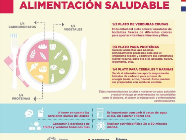 Recomiendan que la comida 'chatarra' no sea la primera opción