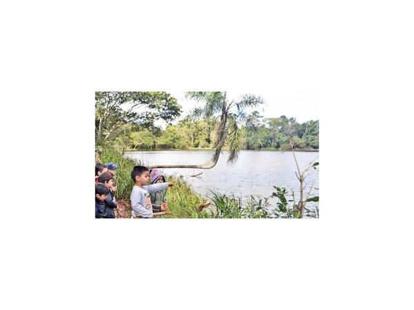 El bosque del lago Yrendy, de Alto Paraná, considerado tesoro ecológico