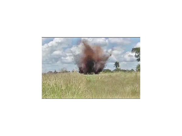 Destruyen pistas clandestinas en reserva