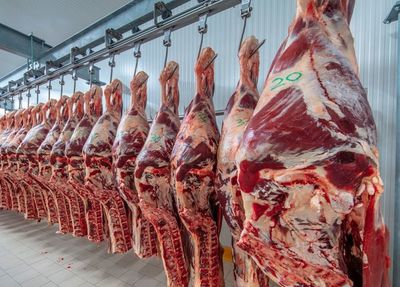 El precio de exportación de la carne tuvo una mejora del 14%