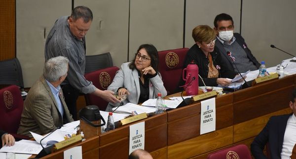 El PPQ trabajará en el proyecto que será tratado en el Senado - Política - ABC Color