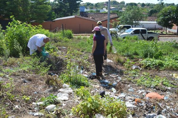 Senepa afirma que ya eliminó más de 550.000 criaderos de mosquitos - Nacionales - ABC Color