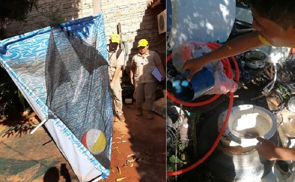 En un mes, destruyeron cerca de 600 mil criaderos del transmisor del dengue, zika, chikungunya y fiebre amarilla - ADN Paraguayo