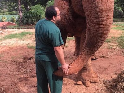 Veterinario que cuidó a Maia: "Tu corazón no entraba en un cuerpo tan grande"