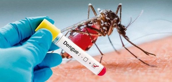 Otra posible muerte por dengue | Noticias Paraguay