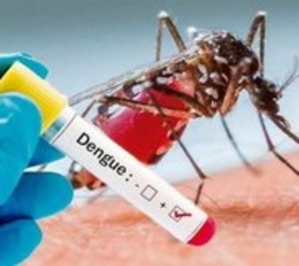 Otra posible muerte por dengue - Paraguay.com