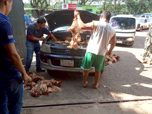 El contrabando de pollos y huevos castiga a la producción nacional