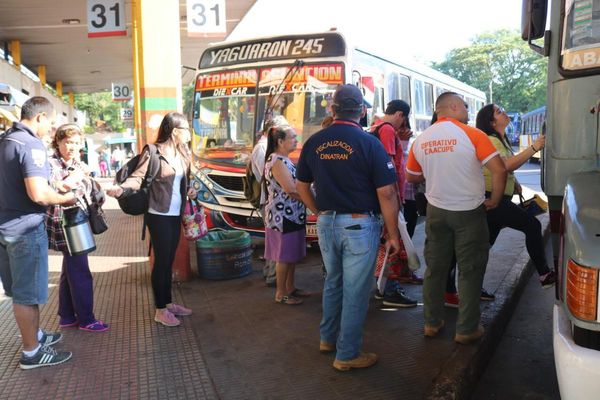 Desinfectarán buses para evitar el dengue