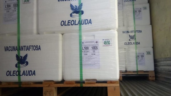 Paraguay exporta al Uruguay 3 millones de dosis de vacunas anti aftosa - .::RADIO NACIONAL::.