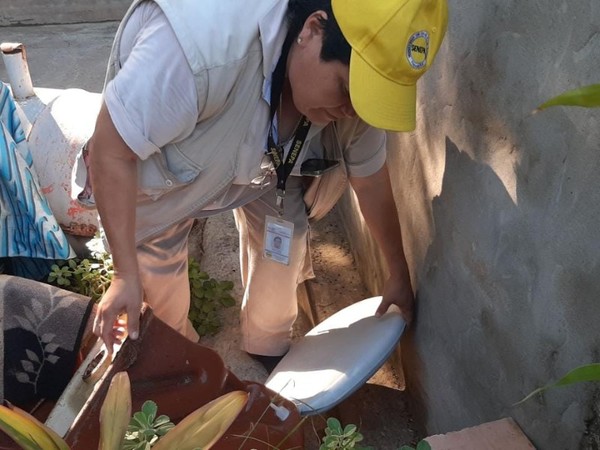 Dengue: más de 600 mil criaderos fueron eliminados en casas inspeccionadas