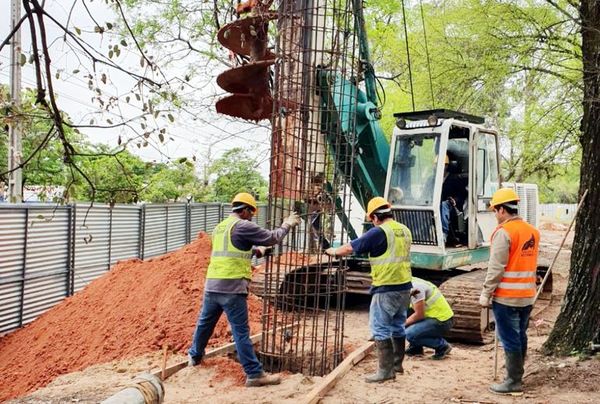 Activistas reclaman respeto a patrimonio natural del Jardín Botánico - Nacionales - ABC Color