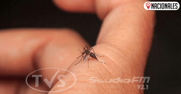 Médico señala que dipirona no debe recetarse en cuadro de dengue