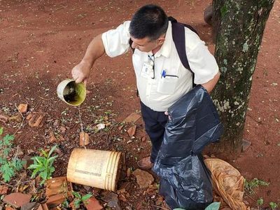 Ascienden a diez los casos positivos de dengue en Alto Paraná - ABC en el Este - ABC Color