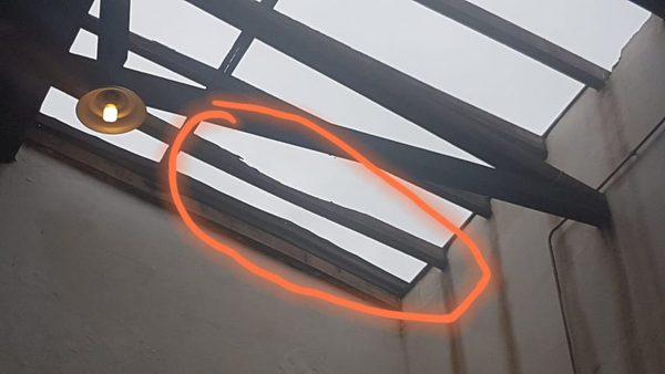 Termitas en el Centro Cultural Estación del Tren Lechero | San Lorenzo Py