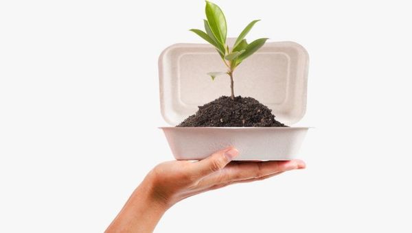 Envases compostables para gastronomía y bolsas biodegradables: alternativa de packaging