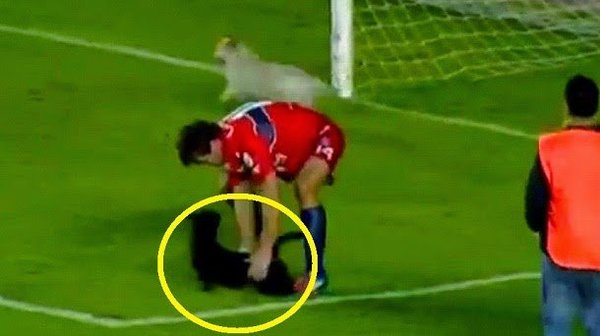 Futbolista maltrata a perritos en campo de futbol de Bolivia (VIDEO) - PARAGUAYPE.COM
