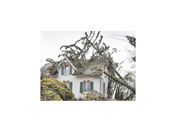 Tormenta Ciara deja muerte y destrucción en países europeos