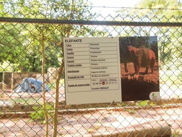 Quieren acabar con el zoológico tras la muerte de Maia