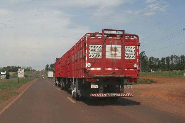 Aclaran aspectos sobre el servicio de transporte de carga internacional | .::Agencia IP::.