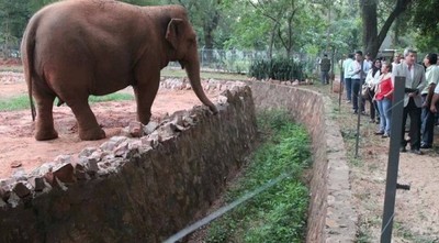 Plantean instalar debate y analizar cierre del zoológico