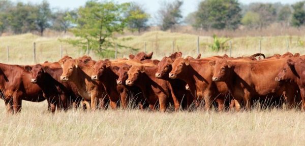 Producción avanza hacia sostenibilidad