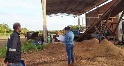 Intervienen establecimiento dedicado a triturar leñas nativas | .::Agencia IP::.