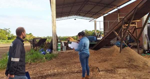 Intervienen establecimiento dedicado a triturar leñas nativas | .::Agencia IP::.