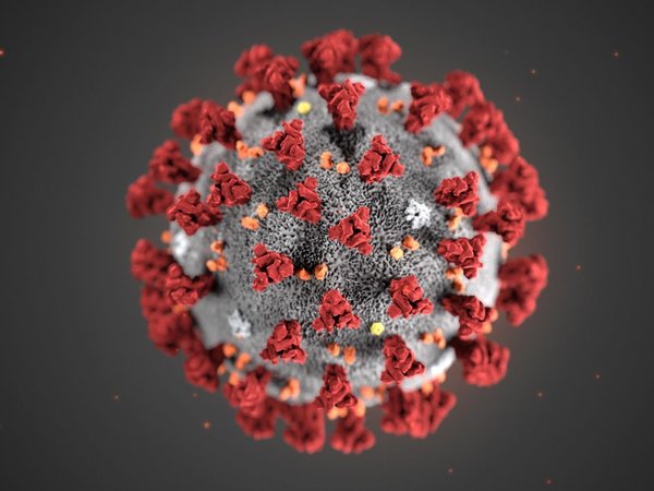 OMS le da nombre a enfermedad por nuevo coronavirus