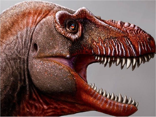 Un primo lejano del T-Rex fue encontrado en Canadá