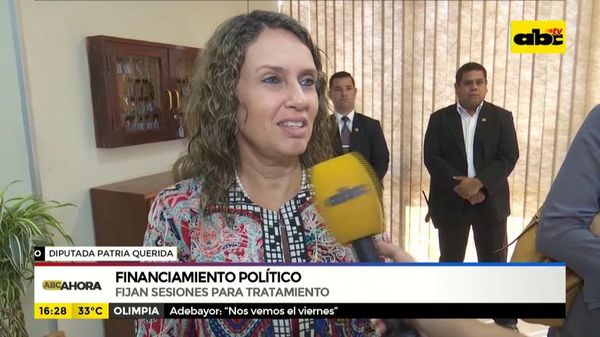 Fijan sesiones para tratamiento de proyecto de financiamiento político - ABC Noticias - ABC Color