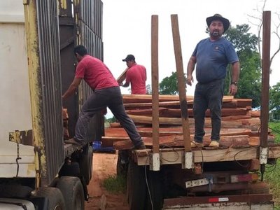 Yasy Kañy: Retienen camión con carga de madera supuestamente sin documentos