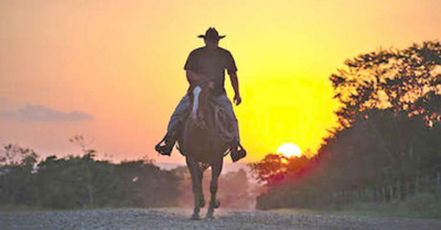 Multado por usar celu conduciendo ¡caballo!