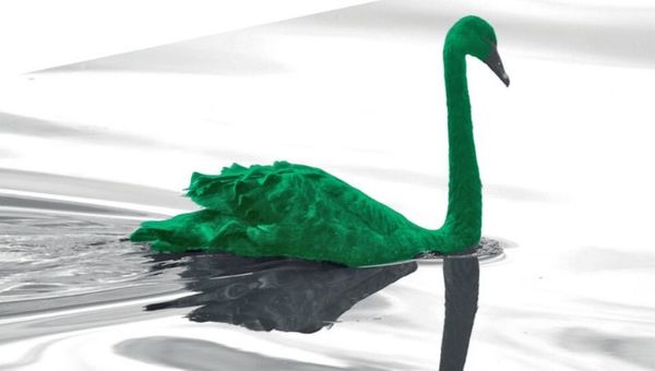 ¿Qué significa cisne verde en economía y cómo lo combatirá el mundo?