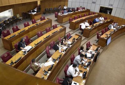 Dengue: Congreso analizará fondos de emergencia y penalización por baldíos - Política - ABC Color