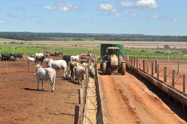 Nutrición estratégica en confinamiento - ABC Rural - ABC Color