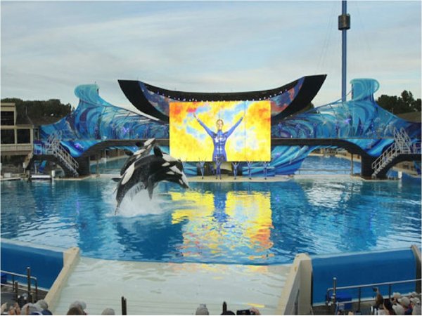 SeaWorld pagará USD 65 millones para resolver demanda