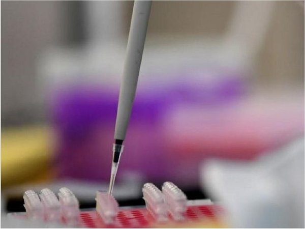 OMS tardará 18 meses en desarrollo de vacuna contra coronavirus